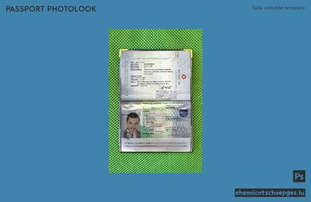 Beispielansicht des Passfotos für Bangladesch (2013–2019)